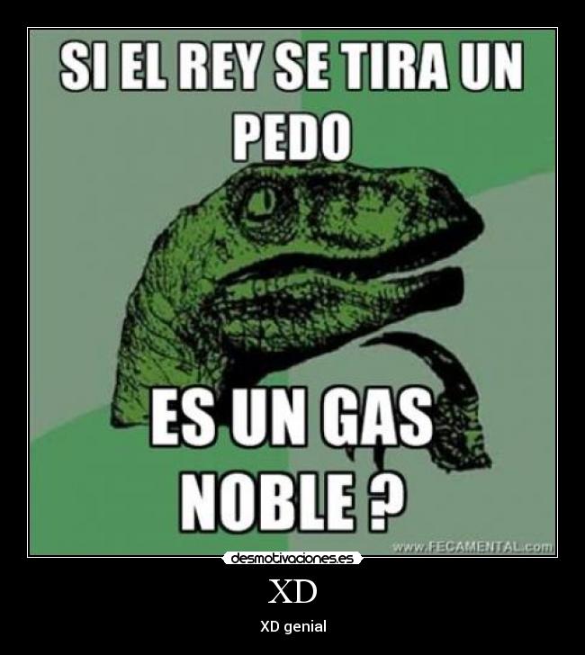 XD - XD genial