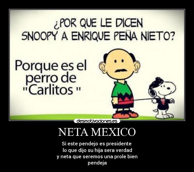 NETA MEXICO - Si este pendejo es presidente
lo que dijo su hija sera verdad
y neta que seremos una prole bien
pendeja