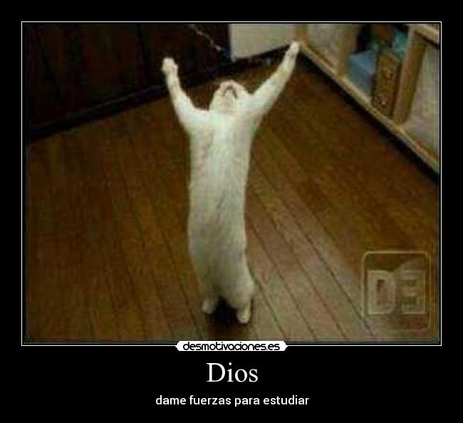 Dios - 