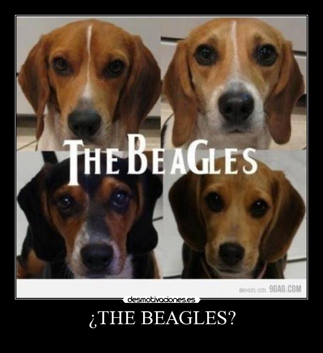 ¿THE BEAGLES? - 