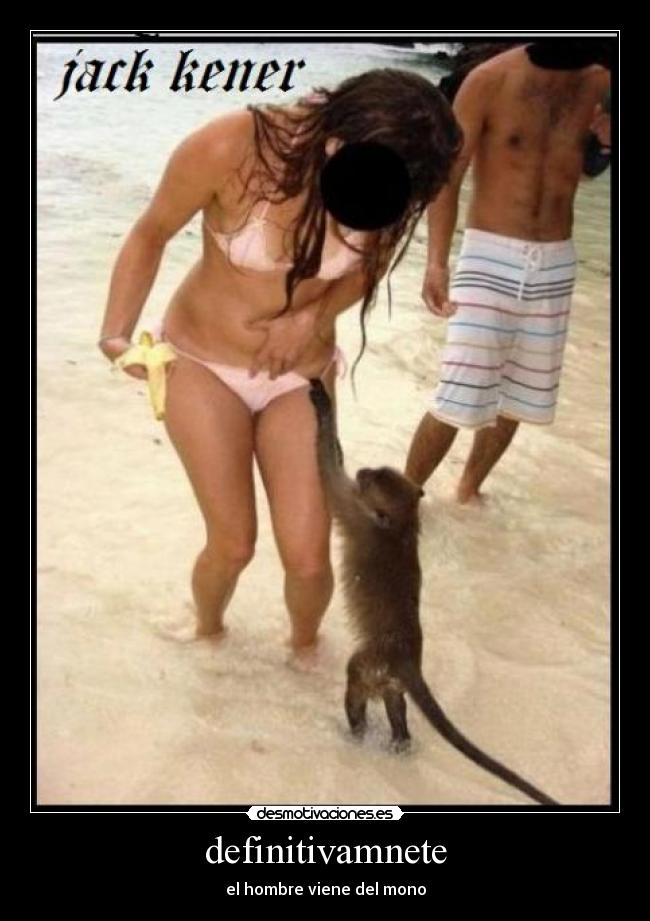 definitivamnete - el hombre viene del mono