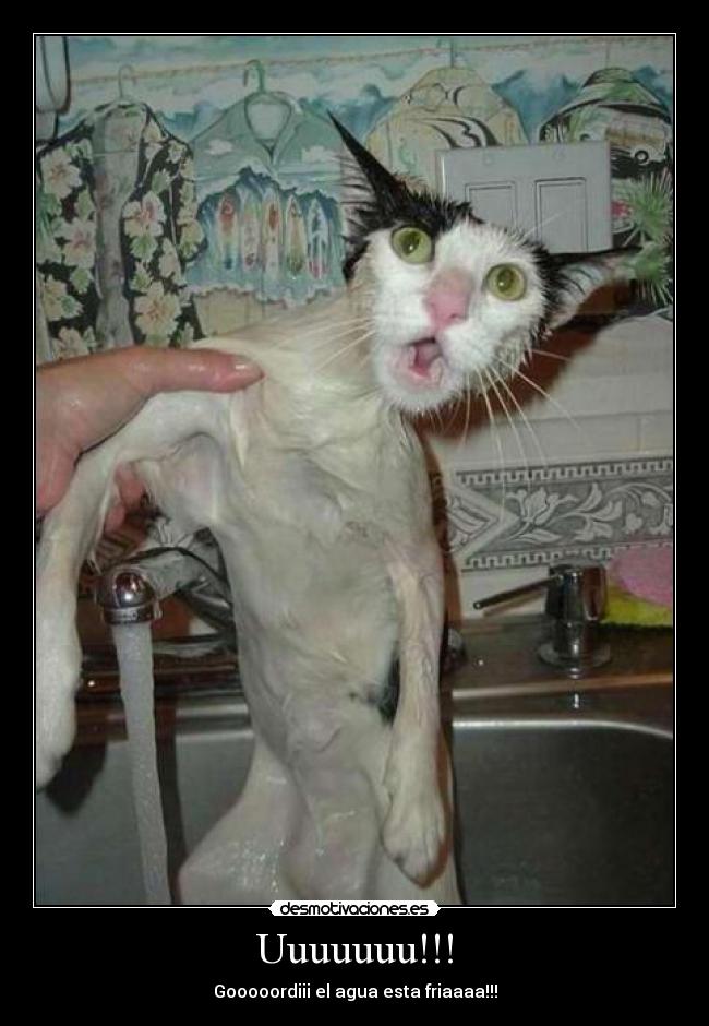 Uuuuuuu!!! - Gooooordiii el agua esta friaaaa!!!