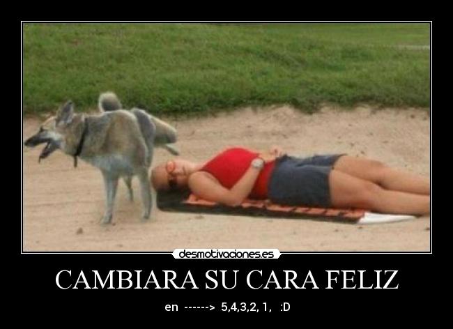 carteles feliz desmotivaciones