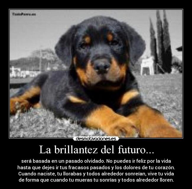La brillantez del futuro... - 