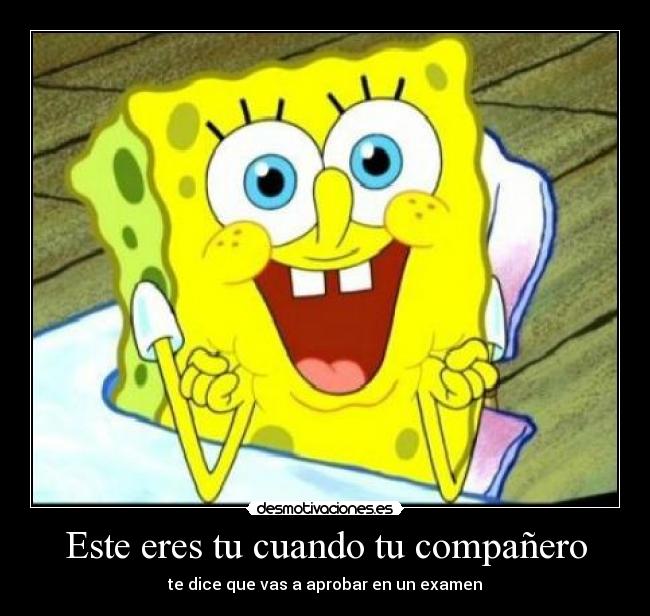carteles bob esponja examen desmotivaciones