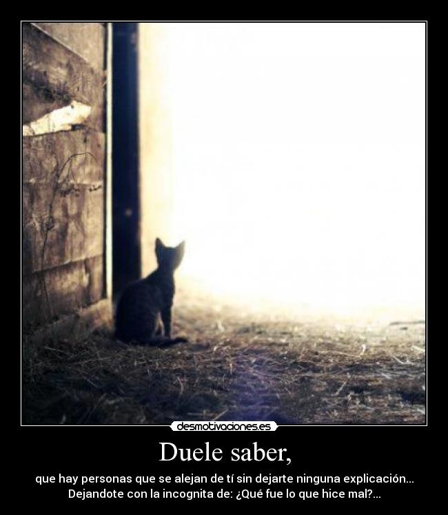Duele saber, - 
