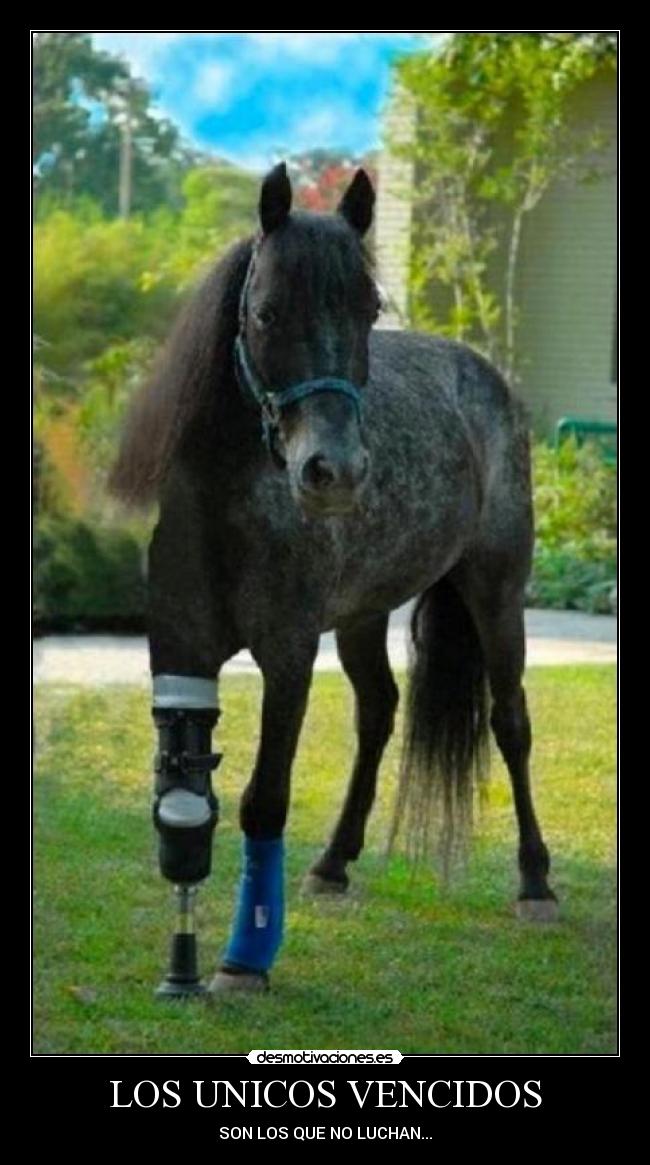 LOS UNICOS VENCIDOS - SON LOS QUE NO LUCHAN...