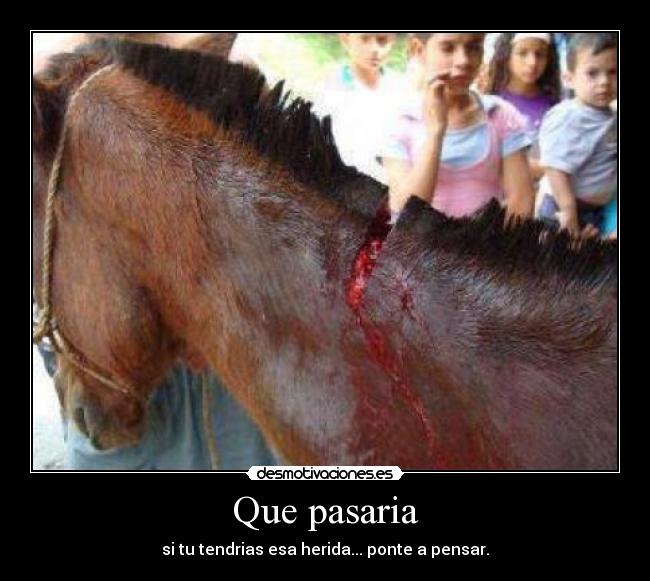 Que pasaria - si tu tendrias esa herida... ponte a pensar.