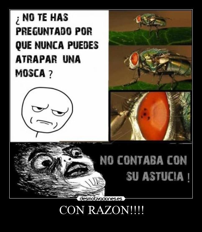 CON RAZON!!!! -