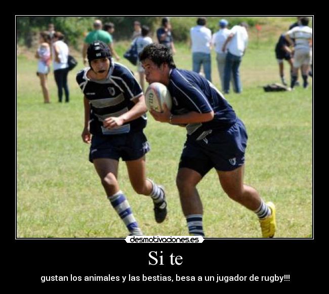 Si te - gustan los animales y las bestias, besa a un jugador de rugby!!!