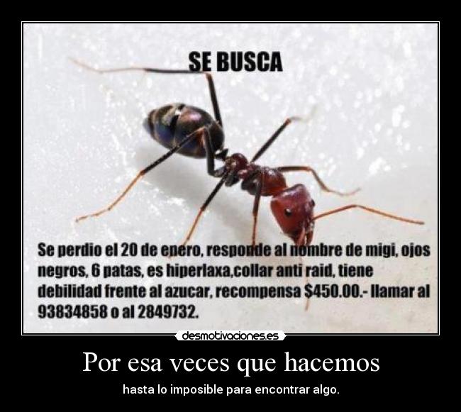 Por esa veces que hacemos - hasta lo imposible para encontrar algo.