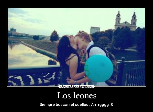 Los leones - Siempre buscan el cuellos . Arrrrgggg :$ ♥