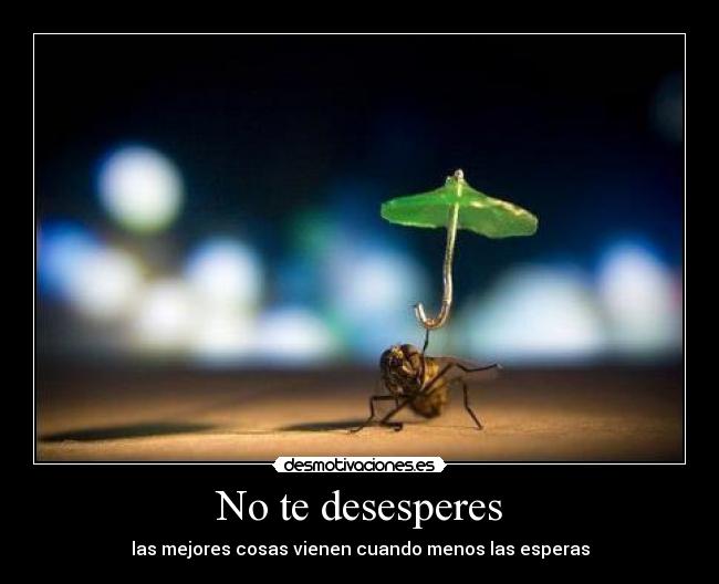 No te desesperes - las mejores cosas vienen cuando menos las esperas