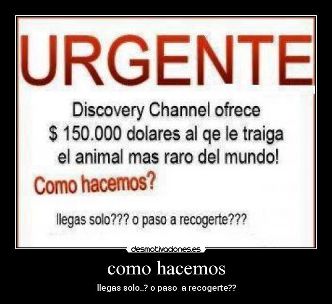 como hacemos -