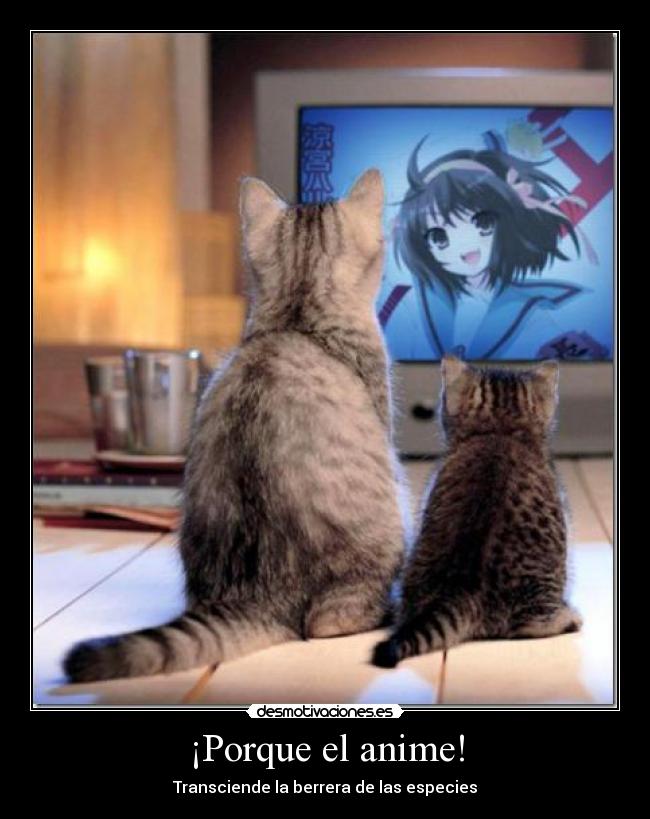 ¡Porque el anime! - 