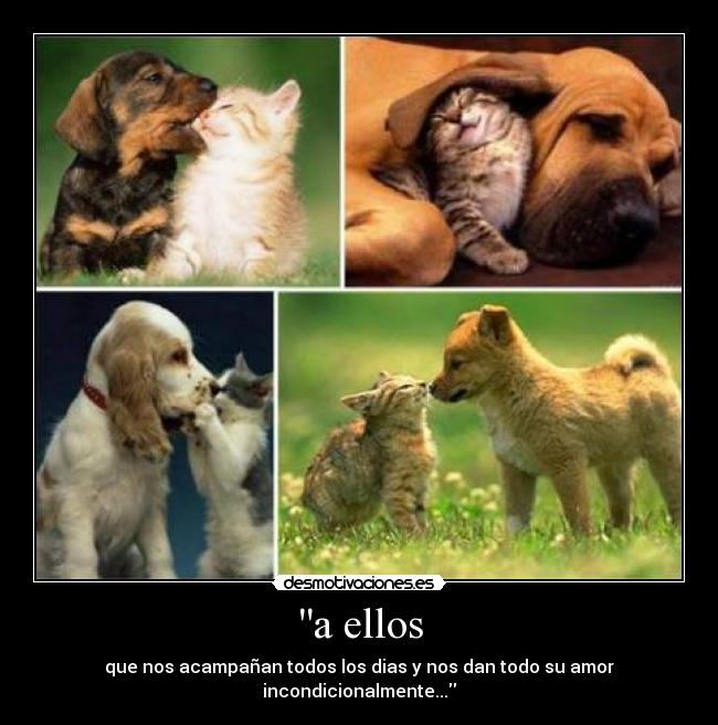a ellos - que nos acampañan todos los dias y nos dan todo su amor incondicionalmente...