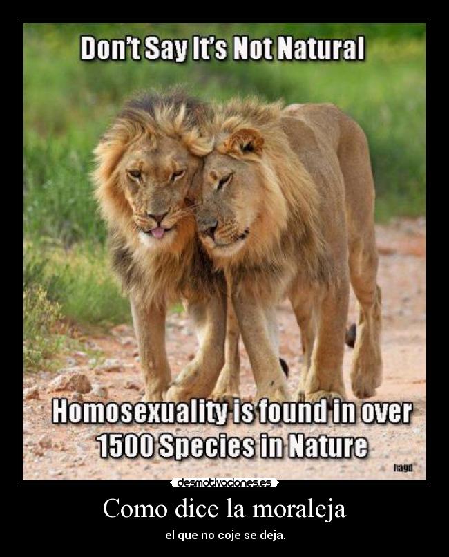 Como dice la moraleja -