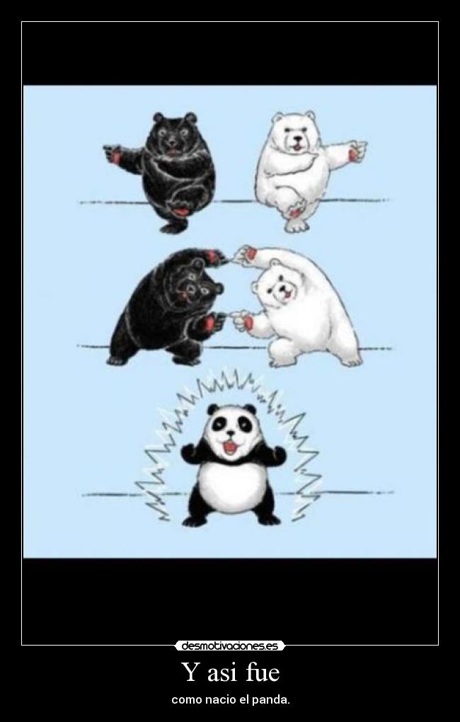 Y asi fue - como nacio el panda.