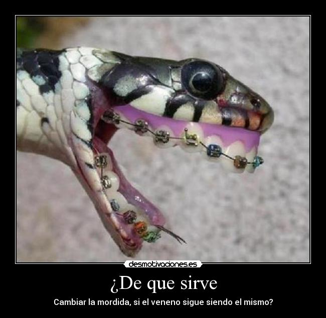 ¿De que sirve - Cambiar la mordida, si el veneno sigue siendo el mismo?
