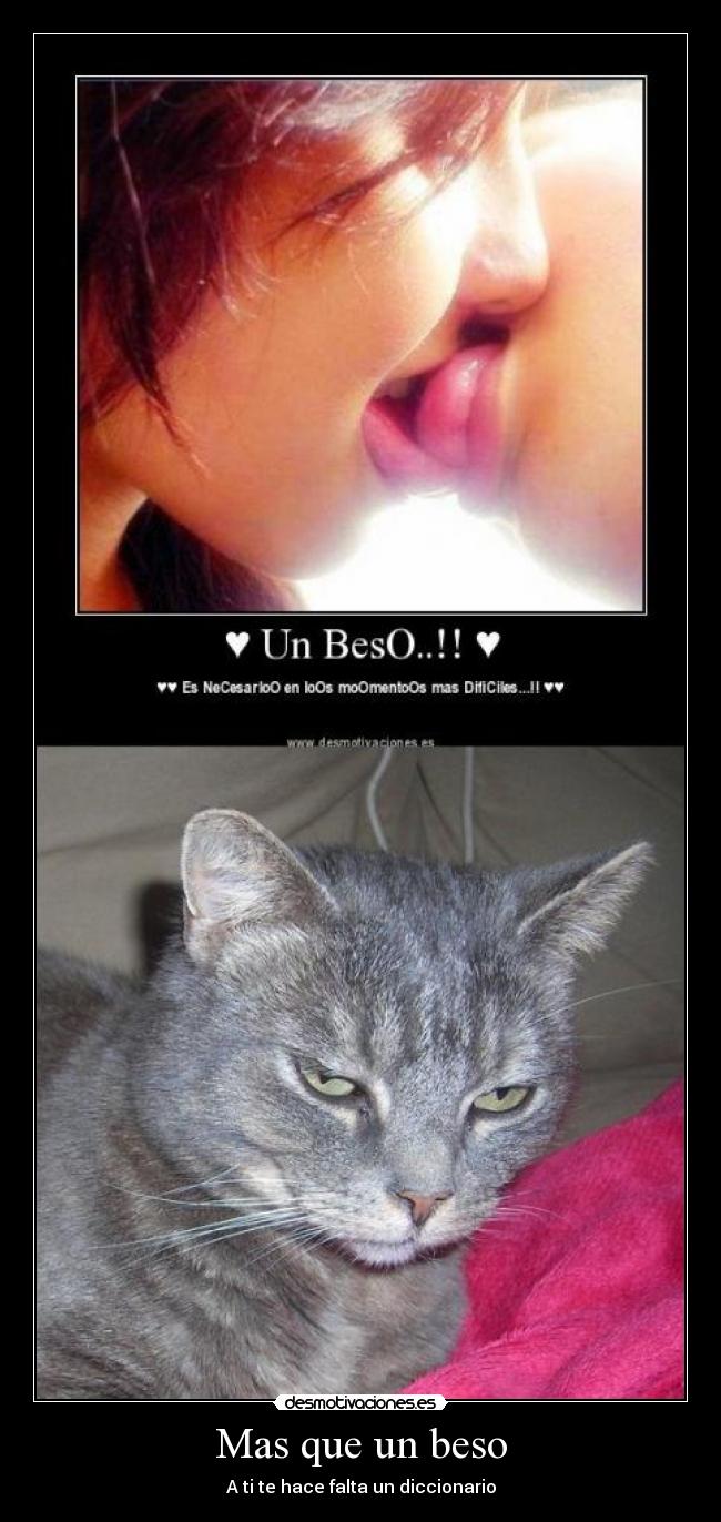 carteles motiva que gatosregrese desmotivaciones