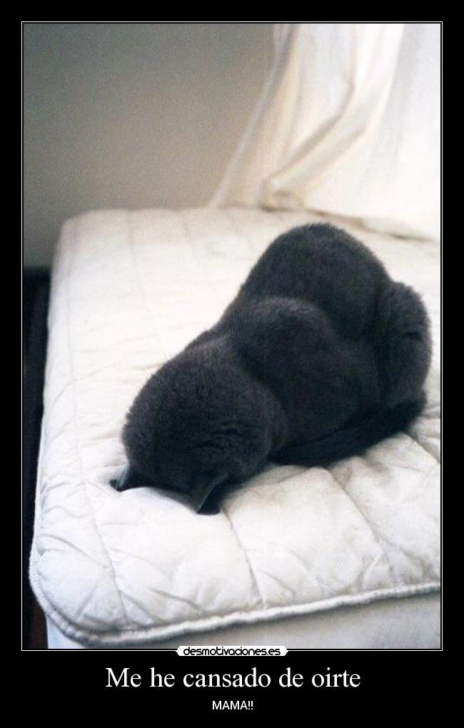 Me he cansado de oirte - MAMA!!