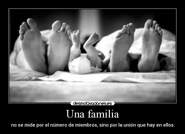 carteles familia are happy family jajajaja desmotivaciones
