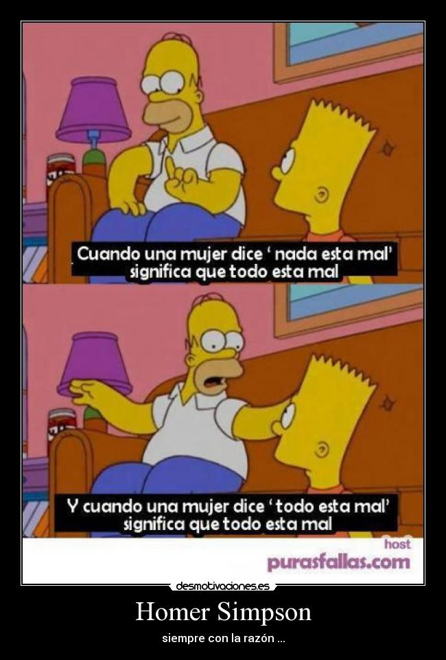 Homer Simpson - siempre con la razón ...