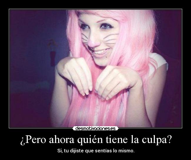 carteles gatitha desmotivaciones