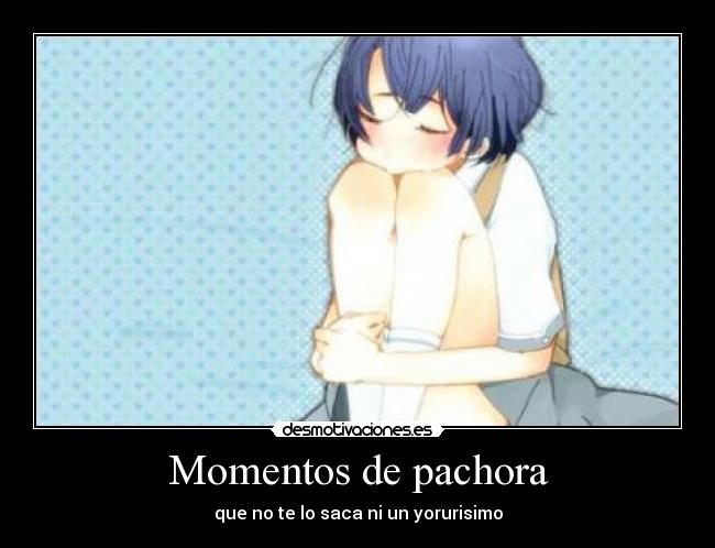 Momentos de pachora - que no te lo saca ni un yorurisimo