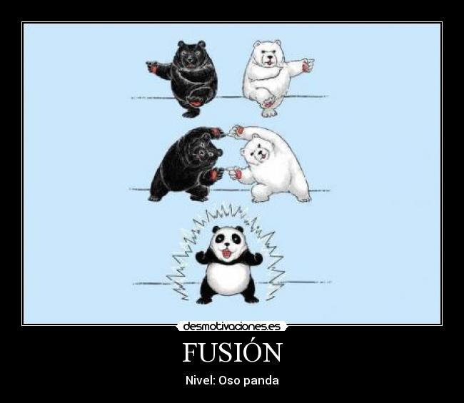 FUSIÓN - Nivel: Oso panda