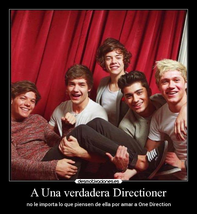 A Una verdadera Directioner -