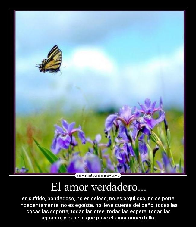 El amor verdadero... -