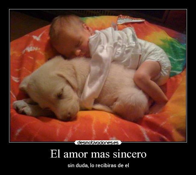 El amor mas sincero - 