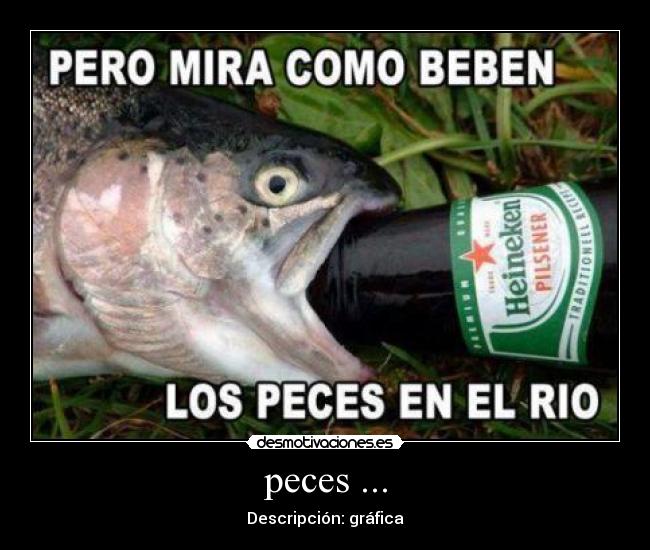 peces ... - Descripción: gráfica