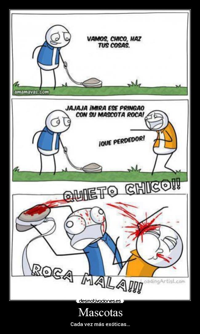 Mascotas - Cada vez más exóticas...