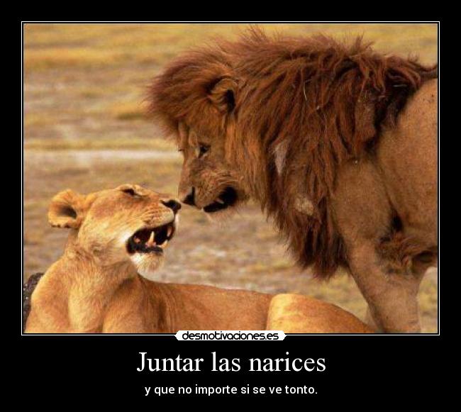 Juntar las narices -