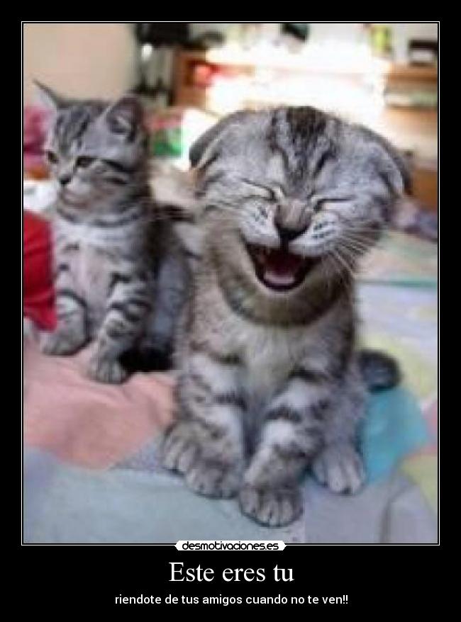 Este eres tu - riendote de tus amigos cuando no te ven!!