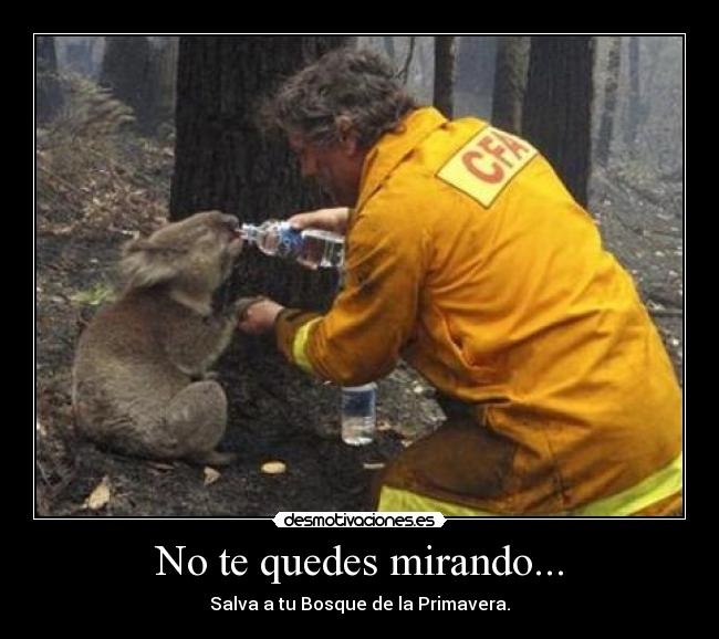 No te quedes mirando... -