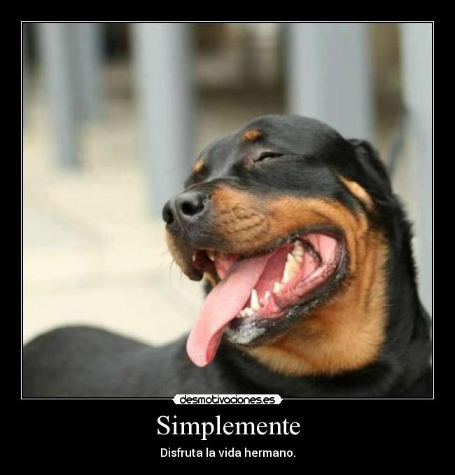 Simplemente - 