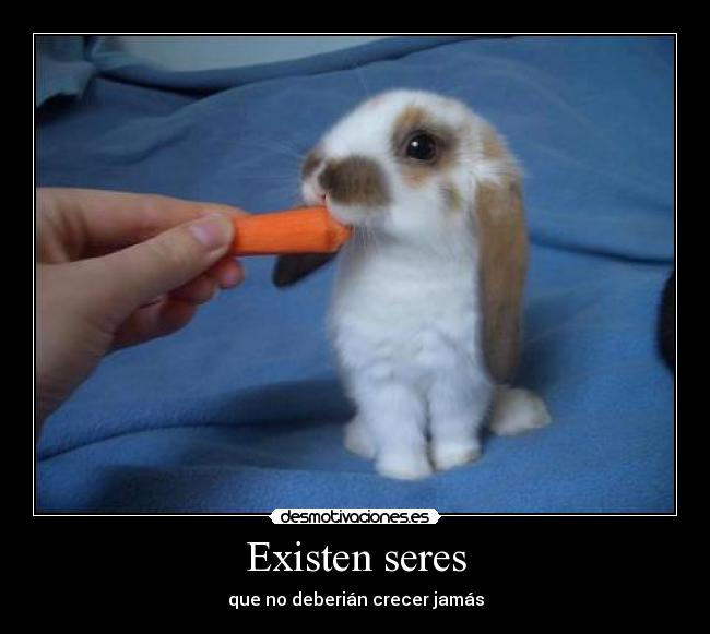 Existen seres -