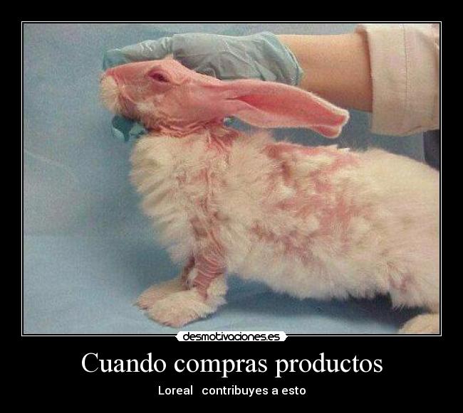 Cuando compras productos - 