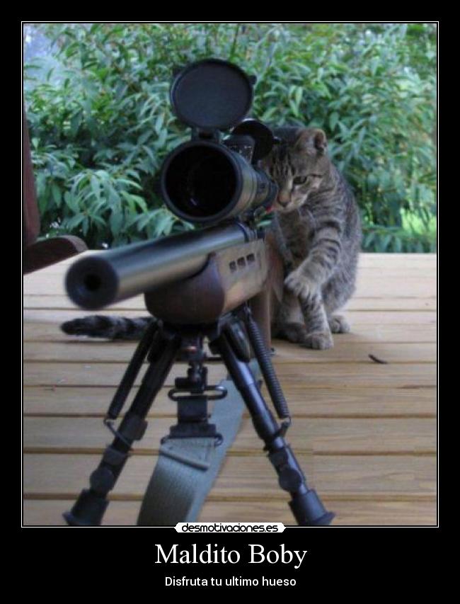 Maldito Boby -