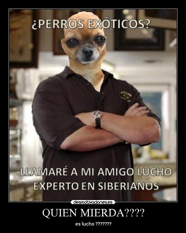 Imágenes y Carteles de LUCHO Pag. 14 Desmotivaciones