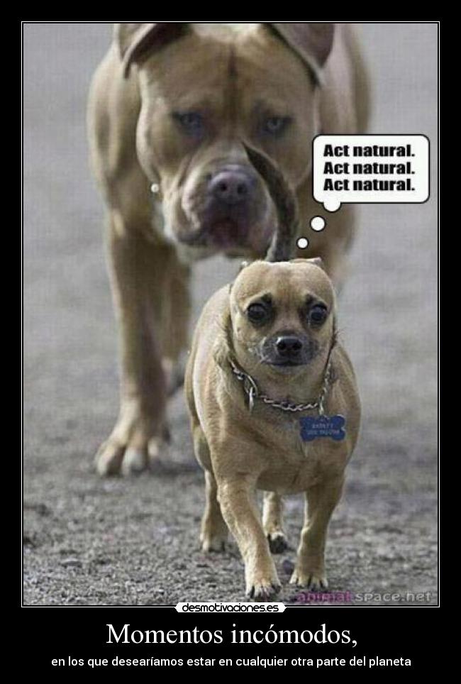 Momentos incómodos, - en los que desearíamos estar en cualquier otra parte del planeta