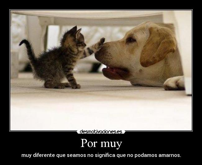 Por muy - muy diferente que seamos no significa que no podamos amarnos.