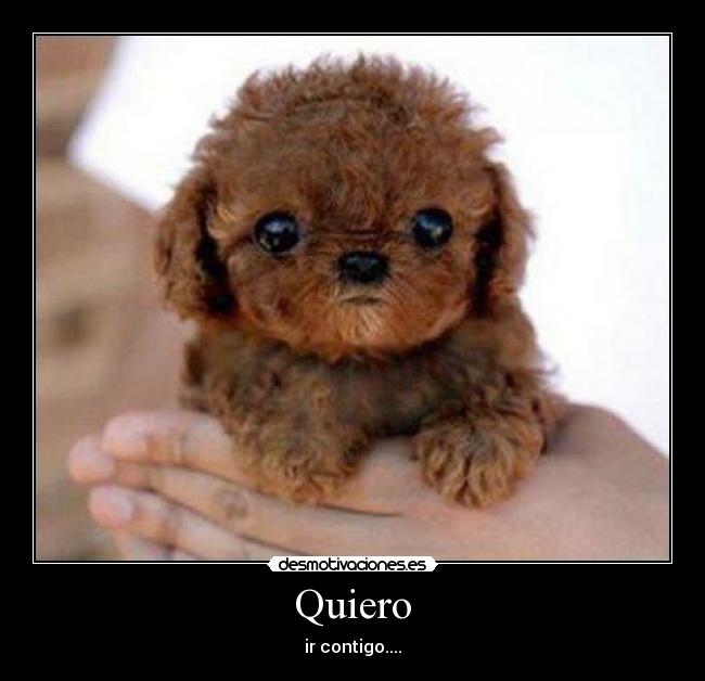 Quiero - ir contigo....