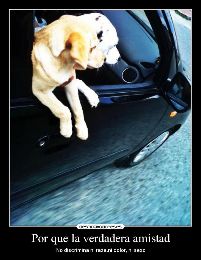 Por que la verdadera amistad -