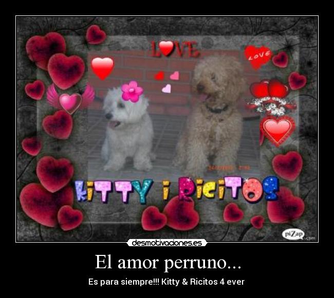 El amor perruno... - 