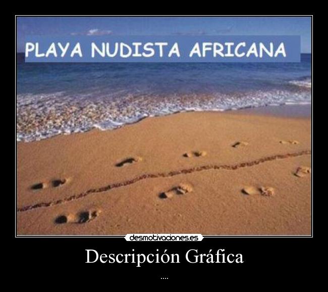 Descripción Gráfica - 