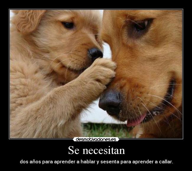 Se necesitan - dos años para aprender a hablar y sesenta para aprender a callar.